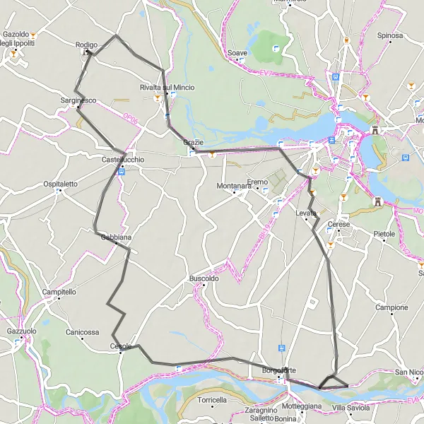 Map miniature of "Road to Borgoforte" cycling inspiration in Lombardia, Italy. Generated by Tarmacs.app cycling route planner