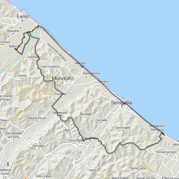 Karten-Miniaturansicht der Radinspiration "Die anspruchsvolle Straßenradtour um Bellocchi" in Marche, Italy. Erstellt vom Tarmacs.app-Routenplaner für Radtouren