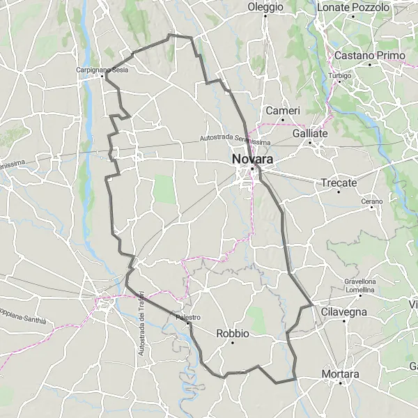Miniatura mapy "Trasa przez Barengo, Borgolavezzaro i Carpignano Sesia" - trasy rowerowej w Piemonte, Italy. Wygenerowane przez planer tras rowerowych Tarmacs.app