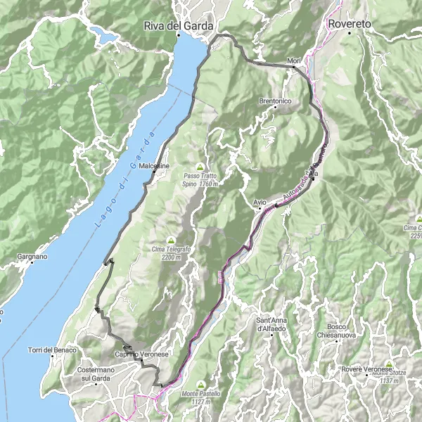 Miniatura della mappa di ispirazione al ciclismo "Giro della sponda veronese del Lago di Garda" nella regione di Provincia Autonoma di Trento, Italy. Generata da Tarmacs.app, pianificatore di rotte ciclistiche