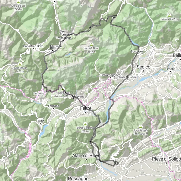 Miniatura della mappa di ispirazione al ciclismo "Avventura ciclistica tra Tonadico e Mezzano" nella regione di Provincia Autonoma di Trento, Italy. Generata da Tarmacs.app, pianificatore di rotte ciclistiche