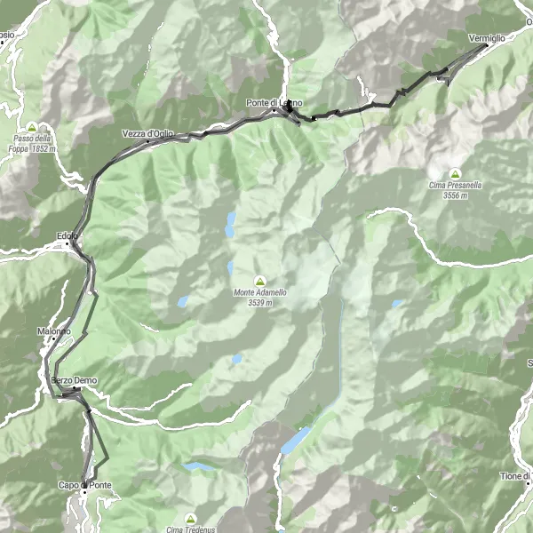 Miniature de la carte de l'inspiration cycliste "Défi Montagneux au Départ de Vermiglio" dans la Provincia Autonoma di Trento, Italy. Générée par le planificateur d'itinéraire cycliste Tarmacs.app