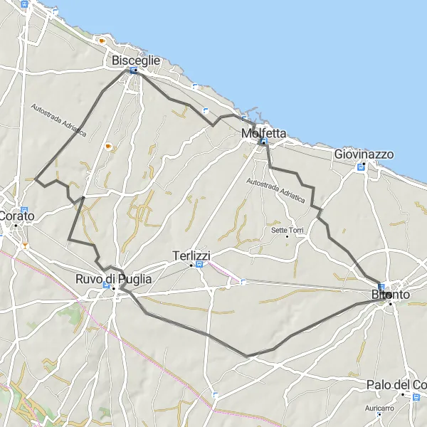 Map miniature of "Ruvo di Puglia to Bitonto Road Route" cycling inspiration in Puglia, Italy. Generated by Tarmacs.app cycling route planner