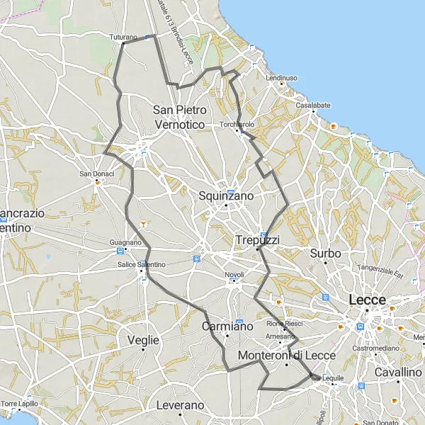 Miniatura della mappa di ispirazione al ciclismo "Salice Salentino Loop" nella regione di Puglia, Italy. Generata da Tarmacs.app, pianificatore di rotte ciclistiche