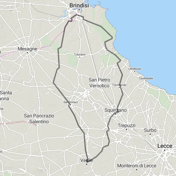 Map miniature of "The Coastal Gem: Squinzano and Beyond" cycling inspiration in Puglia, Italy. Generated by Tarmacs.app cycling route planner