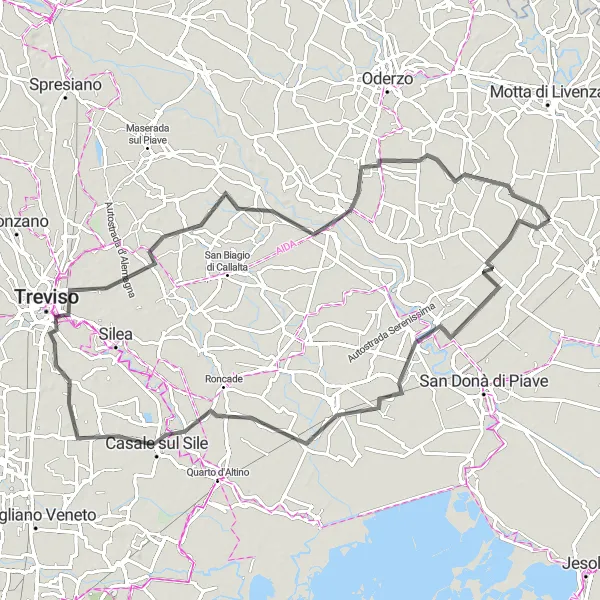 Miniatura della mappa di ispirazione al ciclismo "Tour ciclistico Fossalta di Piave - Chiarano" nella regione di Veneto, Italy. Generata da Tarmacs.app, pianificatore di rotte ciclistiche