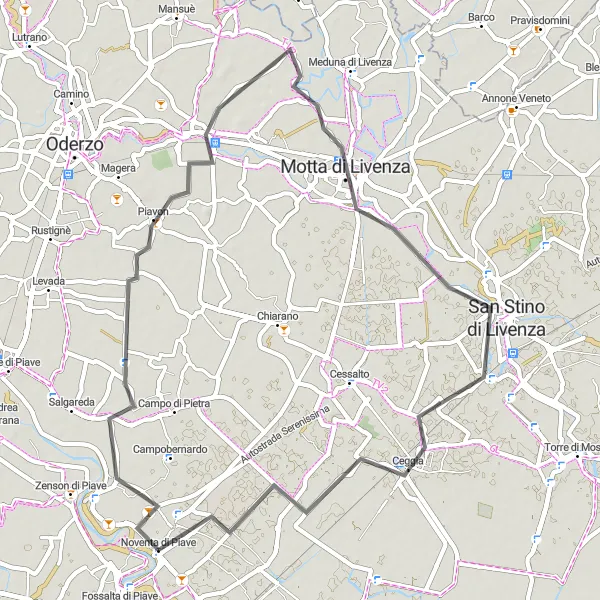 Map miniature of "The Piave River Loop" cycling inspiration in Veneto, Italy. Generated by Tarmacs.app cycling route planner