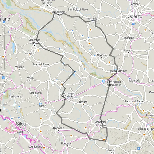 Miniatura della mappa di ispirazione al ciclismo "Ormelle - Monastier di Treviso - Vallio - San Biagio di Callalta" nella regione di Veneto, Italy. Generata da Tarmacs.app, pianificatore di rotte ciclistiche