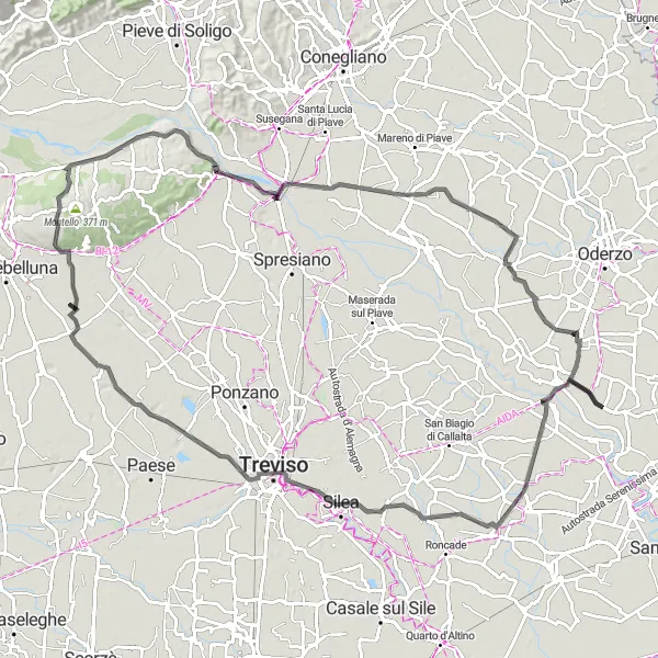 Miniatua del mapa de inspiración ciclista "Ruta de 103 km en carretera cerca de Salgareda" en Veneto, Italy. Generado por Tarmacs.app planificador de rutas ciclistas