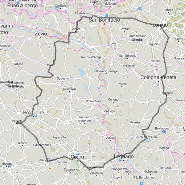 Miniatura della mappa di ispirazione al ciclismo "Percorso ciclabile di 97 km con partenza da Salizzole" nella regione di Veneto, Italy. Generata da Tarmacs.app, pianificatore di rotte ciclistiche