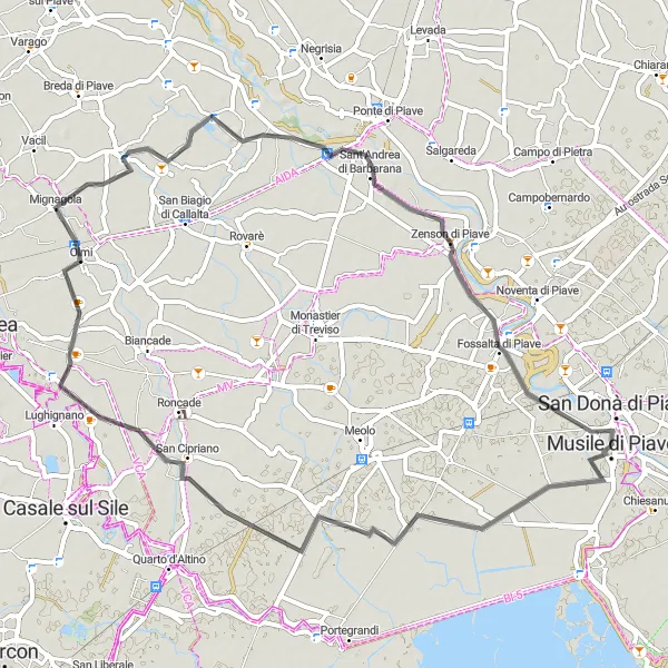 Map miniature of "Sant'Elena di Silea to San Donà di Piave Road Route" cycling inspiration in Veneto, Italy. Generated by Tarmacs.app cycling route planner