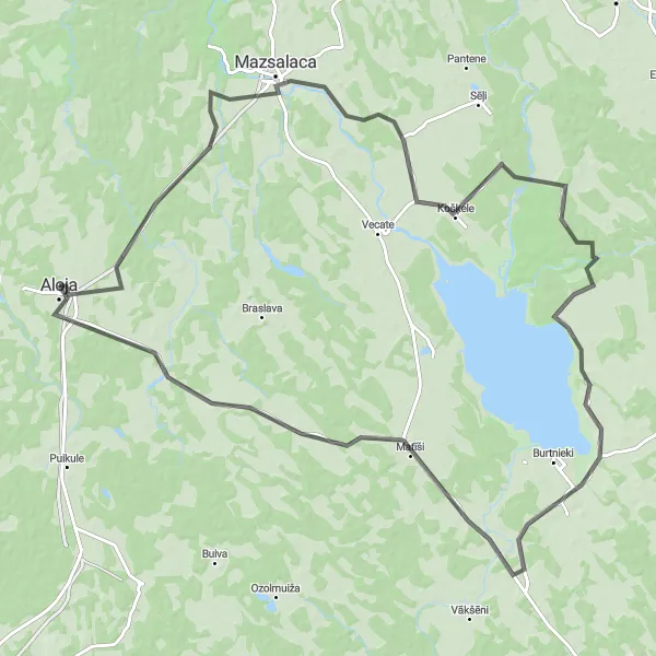 Map miniature of "Road route from Aloja to Lībiešu pilskalns, Skaņkalne, Rugāju pilskalns, Matīši, and Vilzēni" cycling inspiration in Latvija, Latvia. Generated by Tarmacs.app cycling route planner