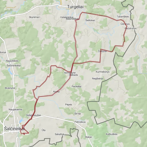 Map miniature of "Exploring Abolai and Šalčininkų dvaro sodyba by Gravel Bike" cycling inspiration in Sostinės regionas, Lithuania. Generated by Tarmacs.app cycling route planner