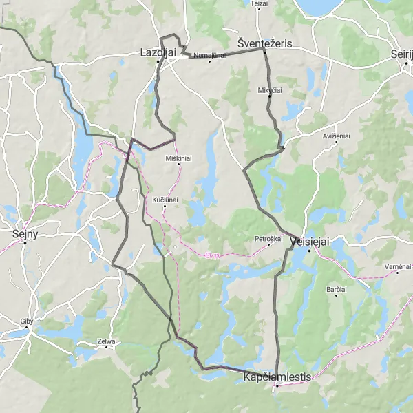 Map miniature of "Panarvė Trail" cycling inspiration in Vidurio ir vakarų Lietuvos regionas, Lithuania. Generated by Tarmacs.app cycling route planner