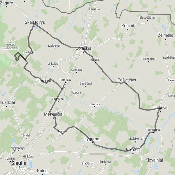 Map miniature of "Railway Complex and Endriškiai" cycling inspiration in Vidurio ir vakarų Lietuvos regionas, Lithuania. Generated by Tarmacs.app cycling route planner