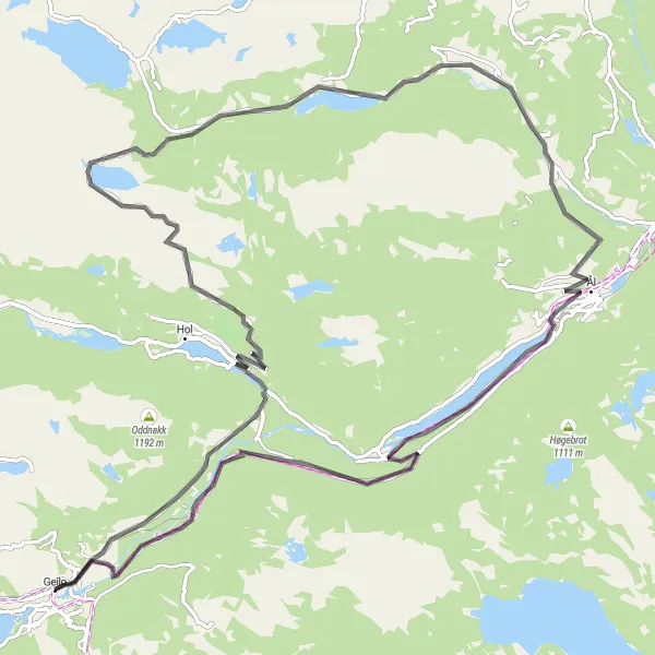 Map miniature of "Geilo to Strandafjorden Route" cycling inspiration in Oslo og Viken, Norway. Generated by Tarmacs.app cycling route planner