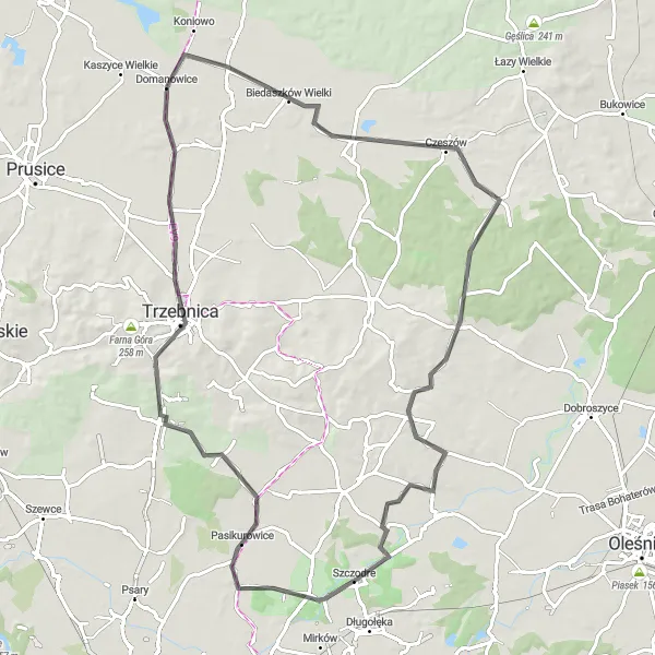 Map miniature of "Trzebnica Loop" cycling inspiration in Dolnośląskie, Poland. Generated by Tarmacs.app cycling route planner