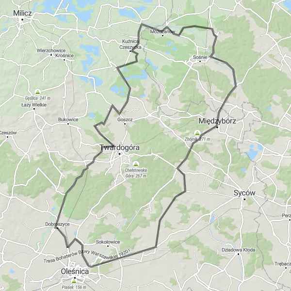 Map miniature of "Dobroszyce-Sosnowa Góra-Grabowno Wielkie-Kałkowskie-Międzybórz-Zbójnik-Szczodrów-Dobroszyce" cycling inspiration in Dolnośląskie, Poland. Generated by Tarmacs.app cycling route planner