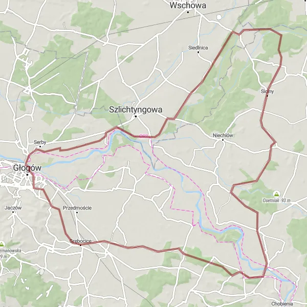 Map miniature of "Grębocice - Wołowiec - Głogów - Dryżyna - Siciny - Borowe - Trzęsowskie Wzgórze - Grębocice" cycling inspiration in Dolnośląskie, Poland. Generated by Tarmacs.app cycling route planner