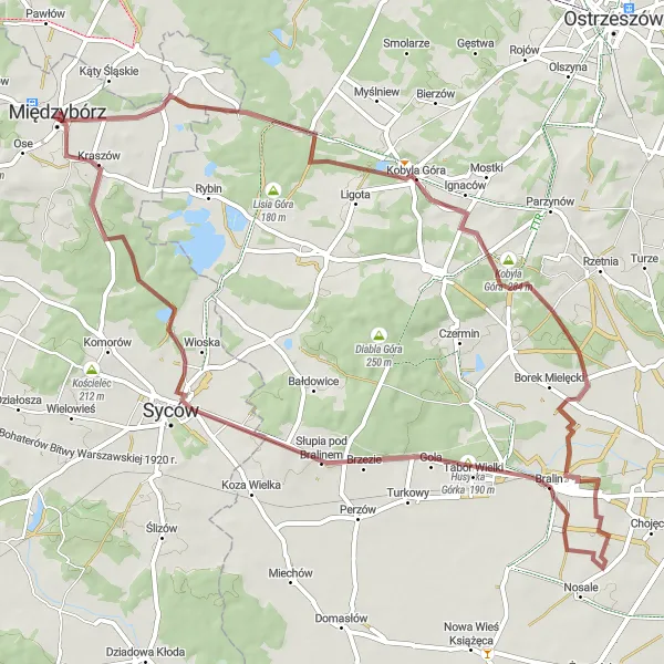 Map miniature of "Scenic Gravel Ride to Słupia pod Bralinem" cycling inspiration in Dolnośląskie, Poland. Generated by Tarmacs.app cycling route planner