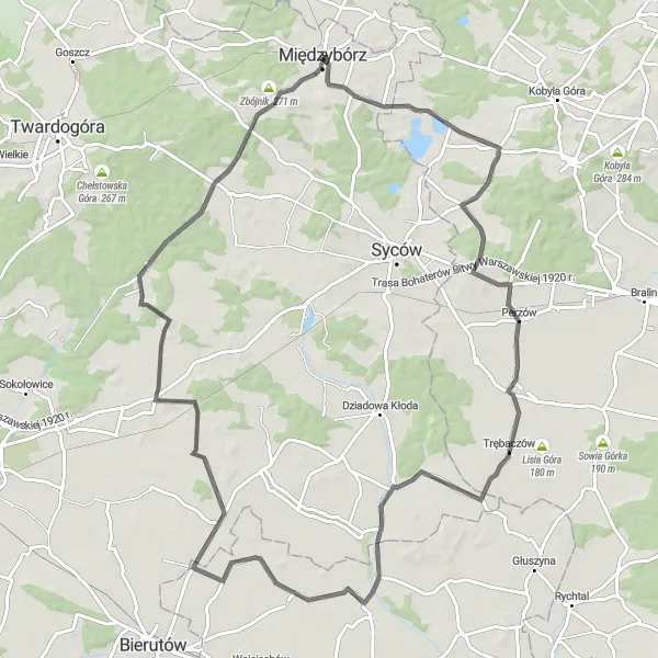Map miniature of "Picturesque Road Cycling Tour around Międzybórz" cycling inspiration in Dolnośląskie, Poland. Generated by Tarmacs.app cycling route planner
