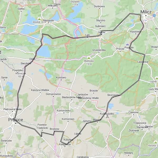 Map miniature of "Wiatraczna and Wiśniowa Circuit" cycling inspiration in Dolnośląskie, Poland. Generated by Tarmacs.app cycling route planner