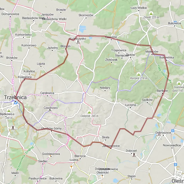 Map miniature of "Gravel Loop: Trzebnica to Winna Góra" cycling inspiration in Dolnośląskie, Poland. Generated by Tarmacs.app cycling route planner