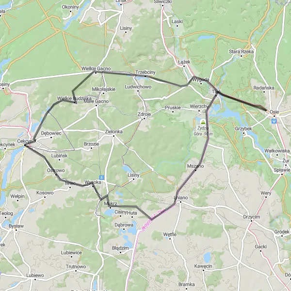 Map miniature of "Cekcyn Loop" cycling inspiration in Kujawsko-pomorskie, Poland. Generated by Tarmacs.app cycling route planner