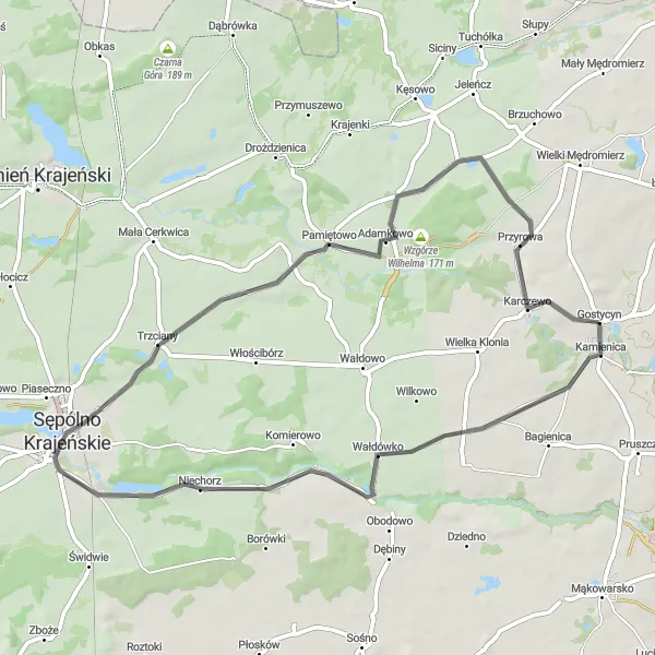 Map miniature of "Scenic Road Loop from Gostycyn" cycling inspiration in Kujawsko-pomorskie, Poland. Generated by Tarmacs.app cycling route planner