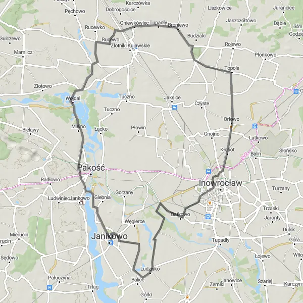 Map miniature of "Janikowo Road Circuit" cycling inspiration in Kujawsko-pomorskie, Poland. Generated by Tarmacs.app cycling route planner