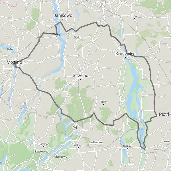 Map miniature of "Mogilno Loop" cycling inspiration in Kujawsko-pomorskie, Poland. Generated by Tarmacs.app cycling route planner