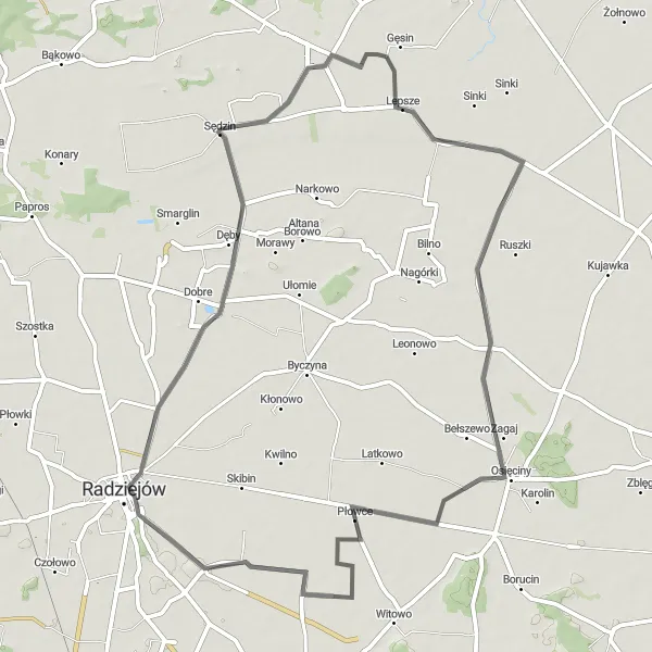 Map miniature of "Radziejów - Bieganowo - Sędzin - Jarantowice - Radziejów" cycling inspiration in Kujawsko-pomorskie, Poland. Generated by Tarmacs.app cycling route planner