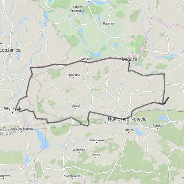 Map miniature of "The Euroroute - From Ślesin to Mrocza" cycling inspiration in Kujawsko-pomorskie, Poland. Generated by Tarmacs.app cycling route planner