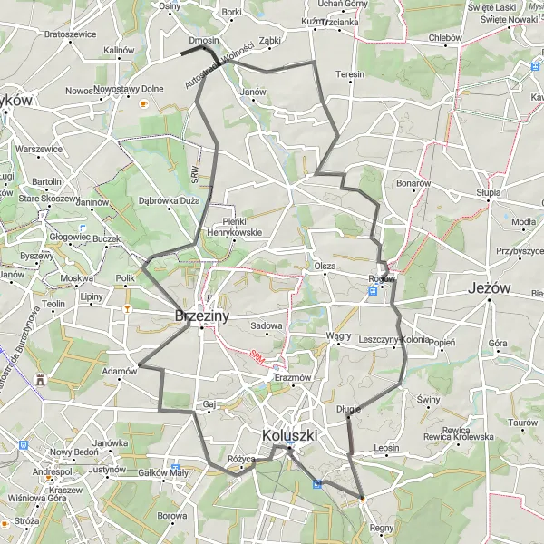 Map miniature of "The Rogue Road" cycling inspiration in Łódzkie, Poland. Generated by Tarmacs.app cycling route planner