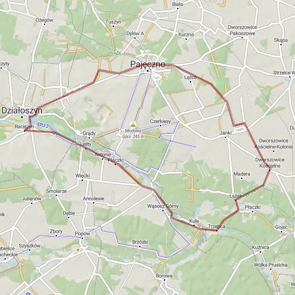 Map miniature of "Raciszyn Loop" cycling inspiration in Łódzkie, Poland. Generated by Tarmacs.app cycling route planner