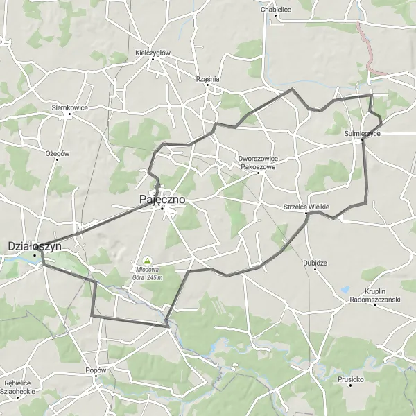 Map miniature of "Działoszyn-Sulmierzyce Loop" cycling inspiration in Łódzkie, Poland. Generated by Tarmacs.app cycling route planner