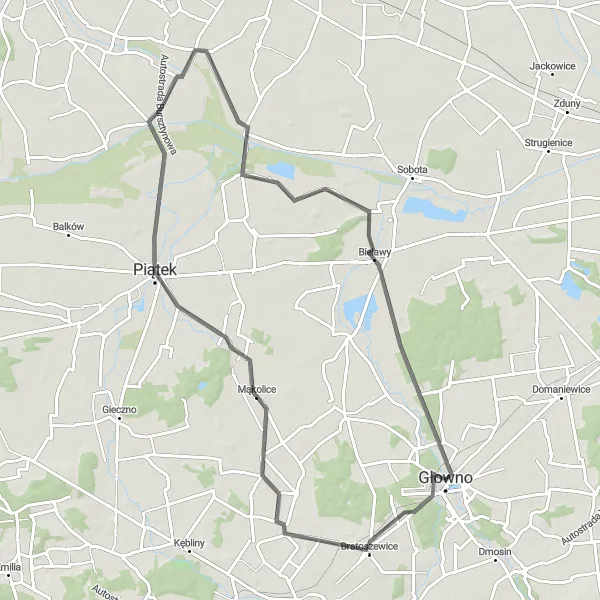 Map miniature of "Sadówka Loop" cycling inspiration in Łódzkie, Poland. Generated by Tarmacs.app cycling route planner