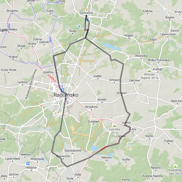 Map miniature of "Cadówek Loop" cycling inspiration in Łódzkie, Poland. Generated by Tarmacs.app cycling route planner
