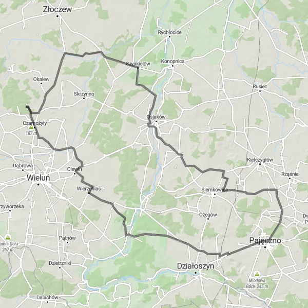 Map miniature of "Pajęczno Road Adventure" cycling inspiration in Łódzkie, Poland. Generated by Tarmacs.app cycling route planner