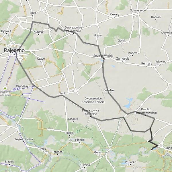 Map miniature of "Pajęczno Countryside Ride" cycling inspiration in Łódzkie, Poland. Generated by Tarmacs.app cycling route planner