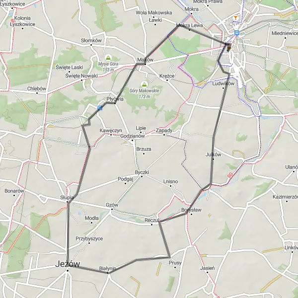 Map miniature of "Scenic Road Cycling Route with Zalew Skierniewicki" cycling inspiration in Łódzkie, Poland. Generated by Tarmacs.app cycling route planner