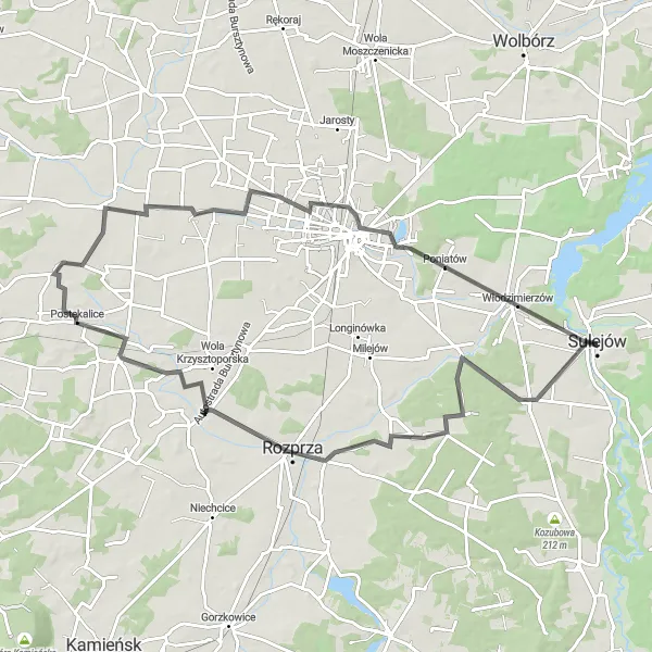 Miniatura mapy "Sulejów - Piotrków Trybunalski loop via Gomulin" - trasy rowerowej w Łódzkie, Poland. Wygenerowane przez planer tras rowerowych Tarmacs.app