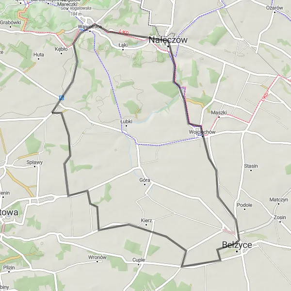 Map miniature of "Bełżyce - Niezabitów - Nałęczów - Wojciechów - Podole" cycling inspiration in Lubelskie, Poland. Generated by Tarmacs.app cycling route planner