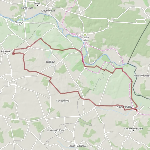 Map miniature of "Janów Podlaski Gravel Tour" cycling inspiration in Lubelskie, Poland. Generated by Tarmacs.app cycling route planner