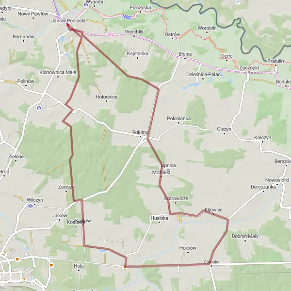 Map miniature of "Janów Podlaski to Cieleśnica Loop" cycling inspiration in Lubelskie, Poland. Generated by Tarmacs.app cycling route planner