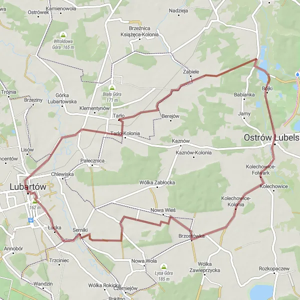 Map miniature of "Gravel Adventure: Lubartów to Ostrów Lubelski" cycling inspiration in Lubelskie, Poland. Generated by Tarmacs.app cycling route planner