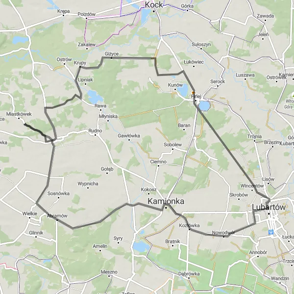 Map miniature of "The Lubartów Loop" cycling inspiration in Lubelskie, Poland. Generated by Tarmacs.app cycling route planner