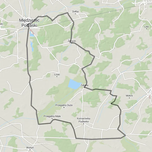 Miniatura mapy "Trasa przez Wysokie i Żelizną" - trasy rowerowej w Lubelskie, Poland. Wygenerowane przez planer tras rowerowych Tarmacs.app