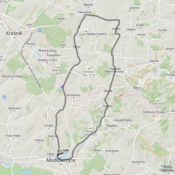 Map miniature of "Modliborzyce to Modliborzyce" cycling inspiration in Lubelskie, Poland. Generated by Tarmacs.app cycling route planner