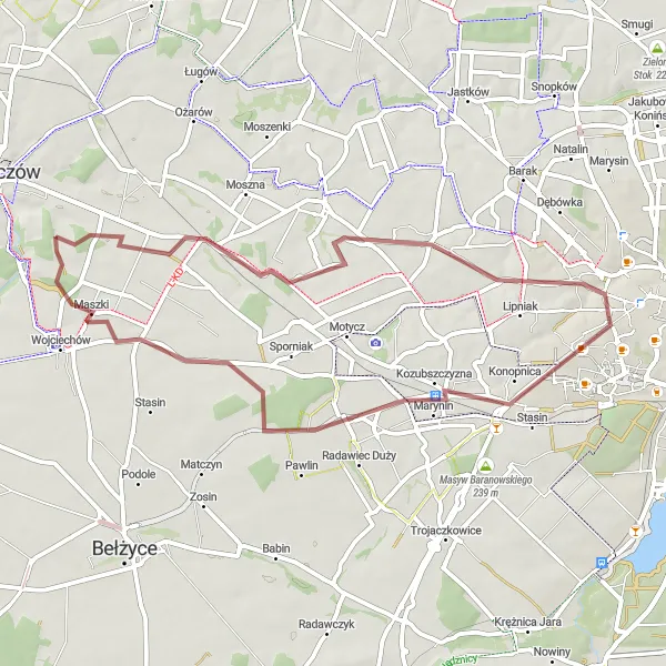 Map miniature of "Kozubszczyzna Loop" cycling inspiration in Lubelskie, Poland. Generated by Tarmacs.app cycling route planner